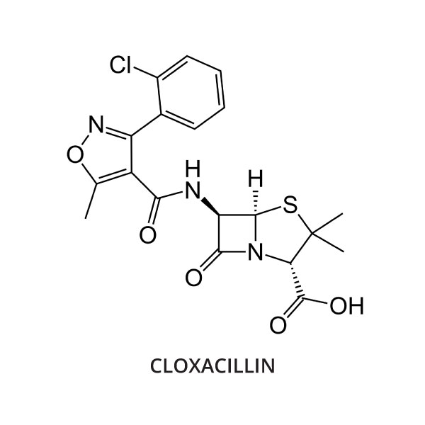 Cloxacillin for Chickens and Ducks