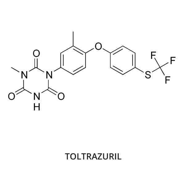 toltrazuril-for-chickens-and-ducks