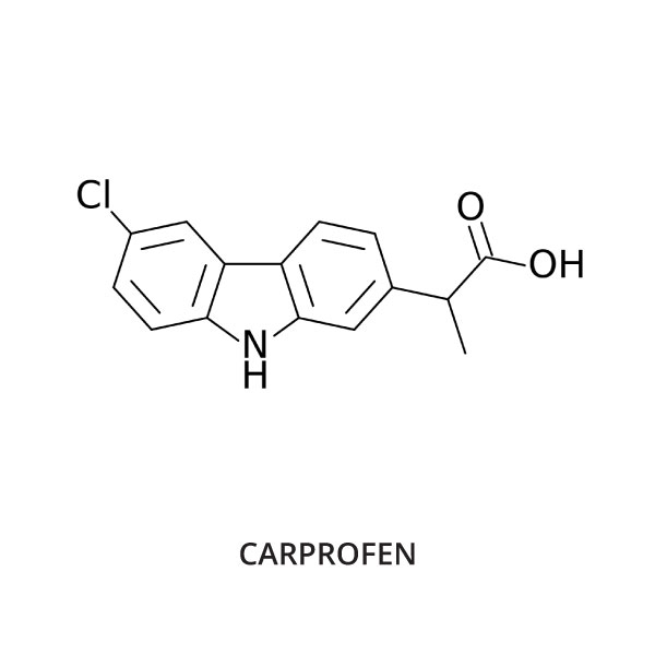 carprofen other names