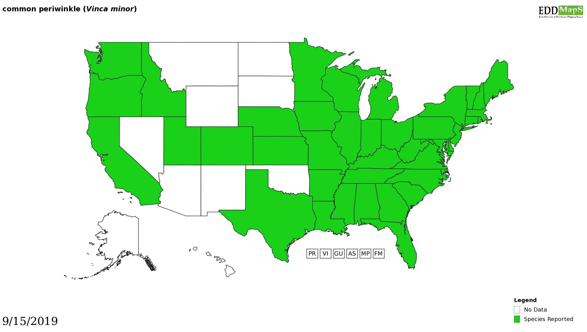 Periwinkle PoultryDVM Toxic Plants AZ