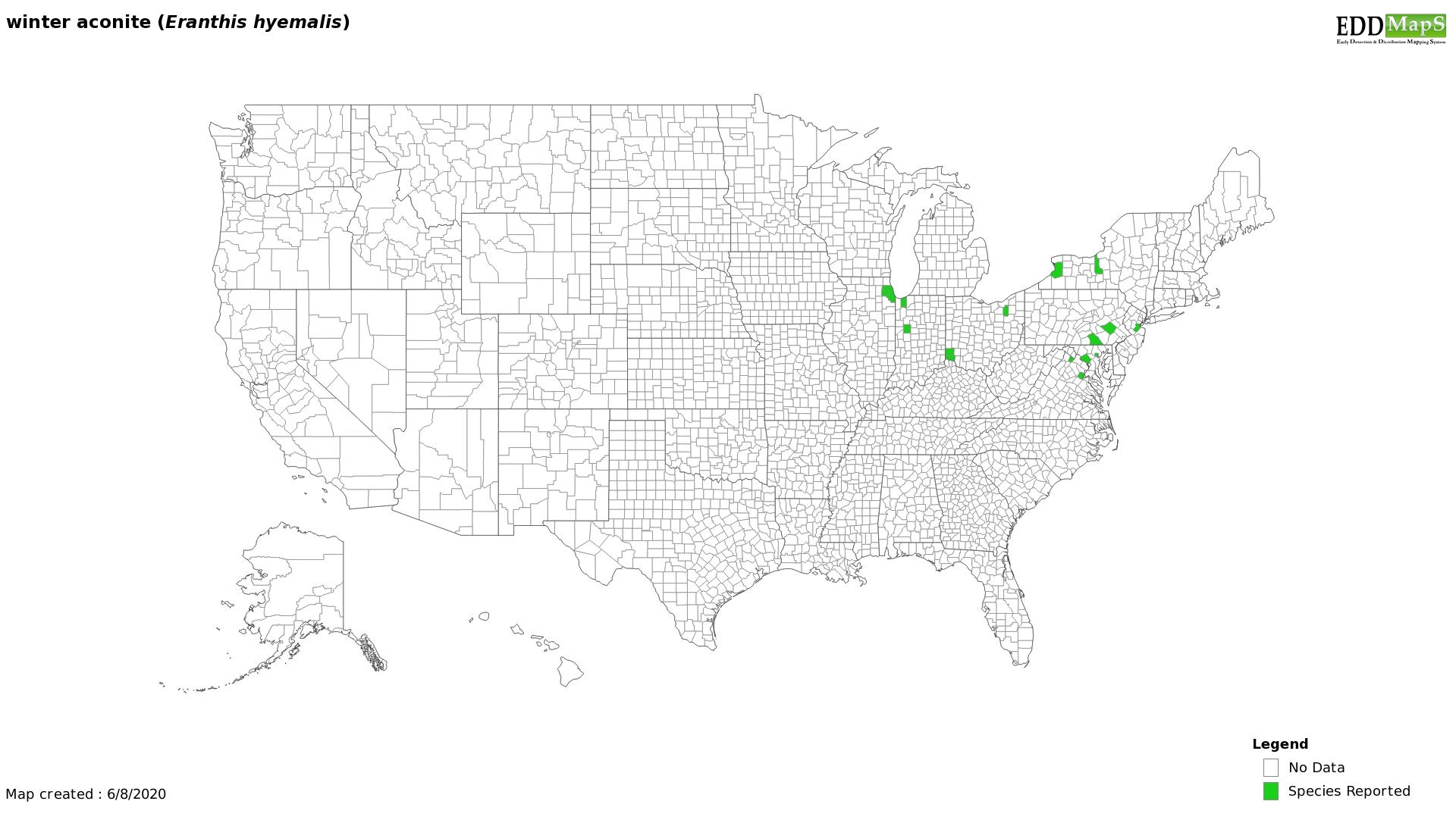 Winter aconite distribution - United States