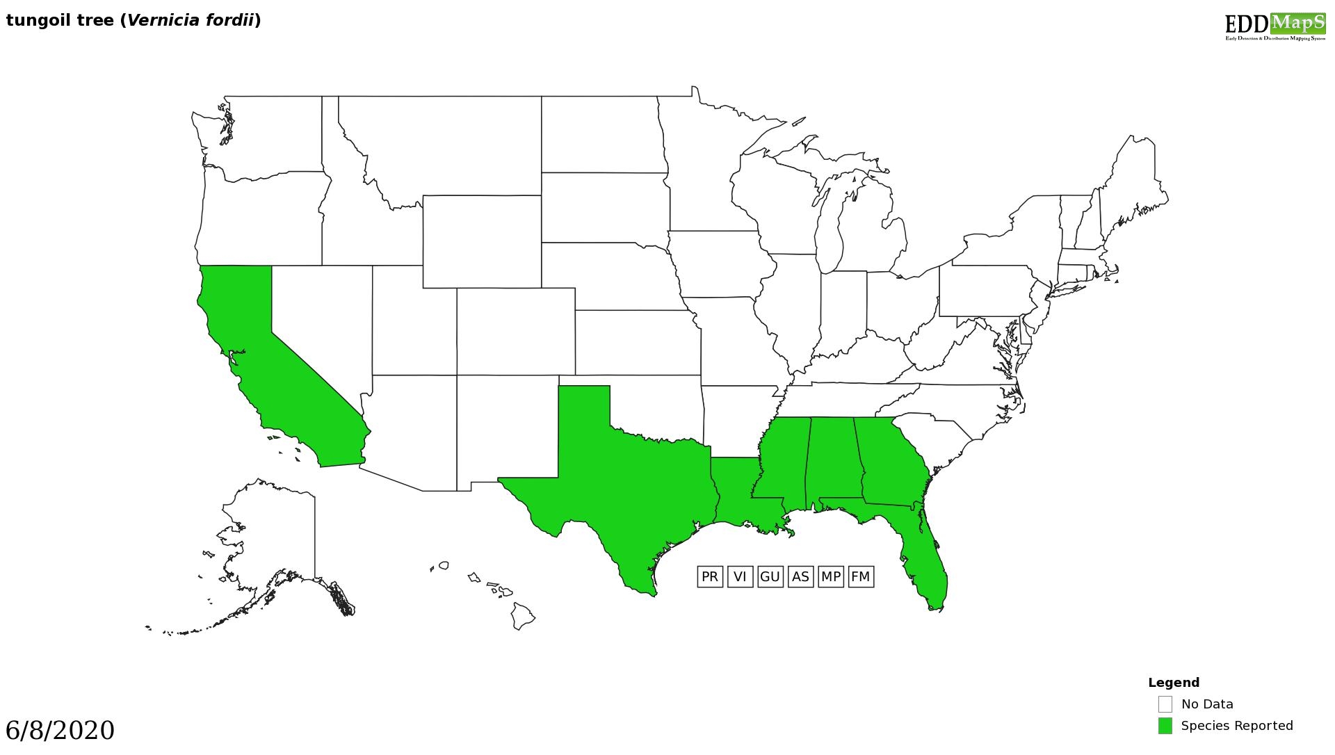 Tung tree distribution - United States