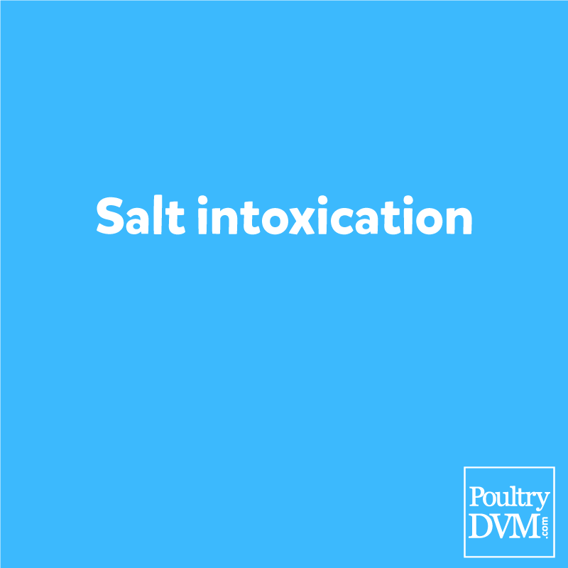 Albums 97+ Pictures Does Salt Water Make You Tan Faster Latest 10/2023