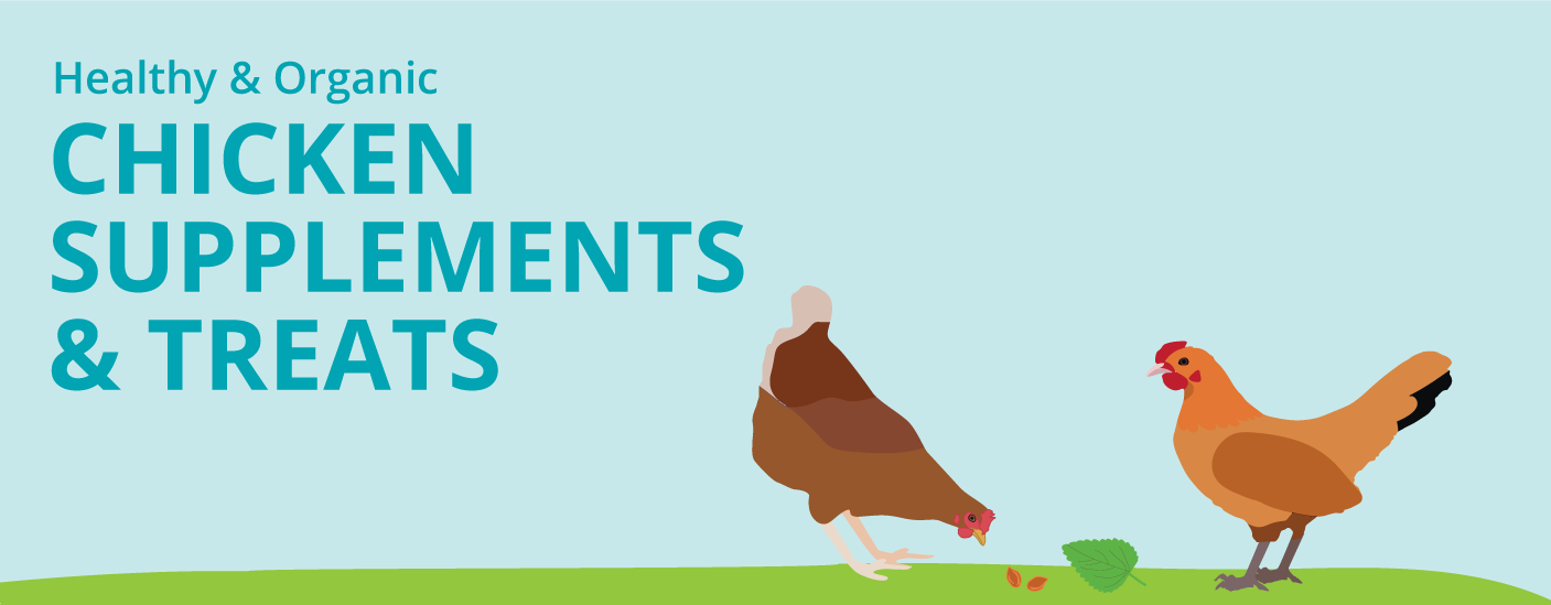 Healthy Chicken Supplements and Treats Guide Infographic Infographic