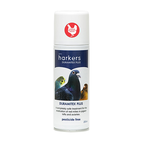 Red poultry mite infestation in Chickens