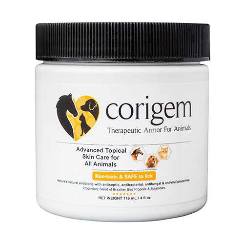 Favus (Ringworm) in Chickens