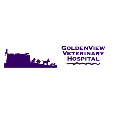 Goldenview Veterinary Hospital