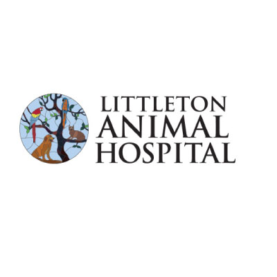 Littleton Animal Hospital