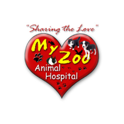My Zoo Animal Hospital