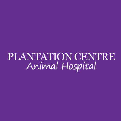 Plantation Center Animal Hospital