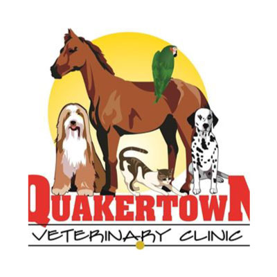 Quakertown Veterinary Clinic