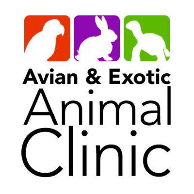Avian & Exotic Animal Clinic of Arizona