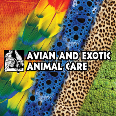 Avian & Exotic Animal Care