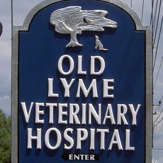 Old Lyme Veterinary Hospital