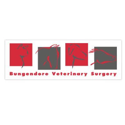 Bungendore Veterinary Surgery