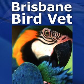 Brisbane Bird Vet