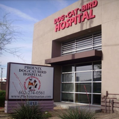 Phoenix Dog Cat Bird Hospital