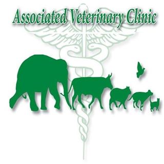 Associated Vet Clinic