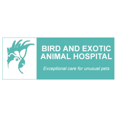 Bird and Exotic Animal Hospital