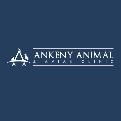 Ankeny Animal and Avian Clinic