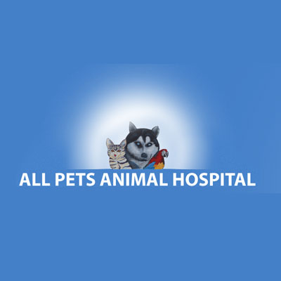 All Pets Animal Hospital
