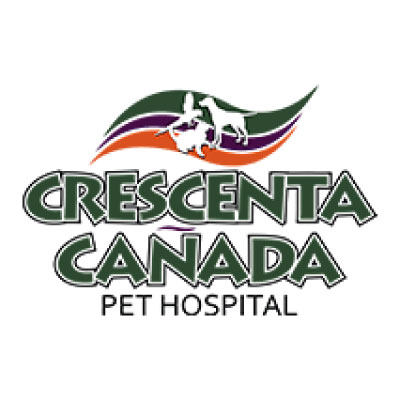 Crescenta/Canada Pet Hospital
