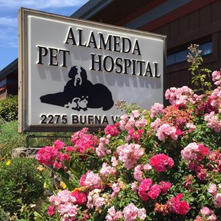 Alameda Pet Hospital