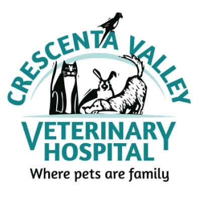 Crescenta Valley Veterinary Hospital