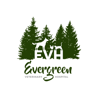 Evergreen Veterinary Hospital