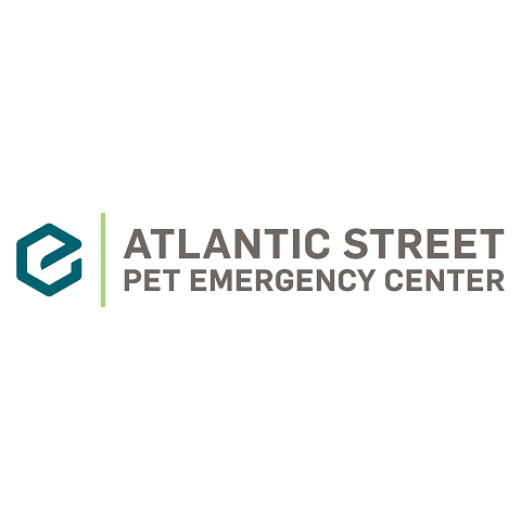 Atlantic Street Pet Emergency Center