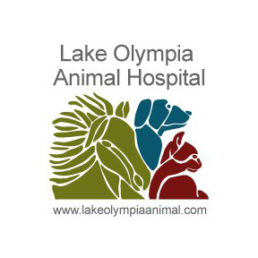 Lake Olympia Animal Hospital