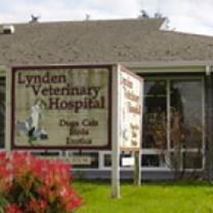Lynden Vet Hospital