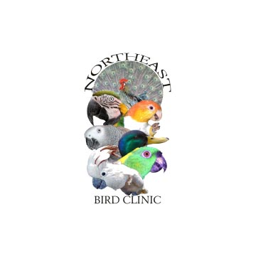 Northeast Bird Clinic