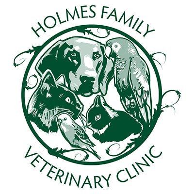 Holmes Family Veterinary Clinic