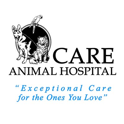Care Animal Hospital