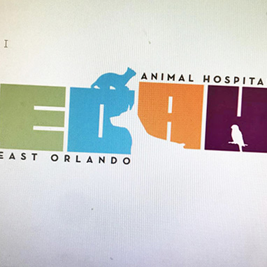 East Orlando Animal Hospital 