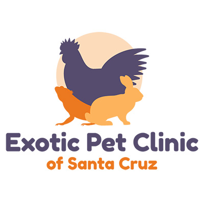 Exotic Pet Clinic of Santa Cruz