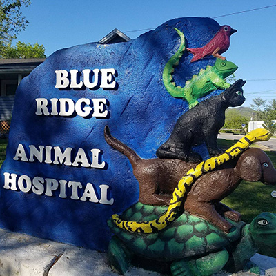 Blue Ridge Animal Hospital