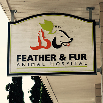 Feather and Fur Animal Hospital