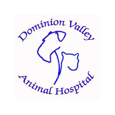 Dominion Valley Animal Hospital