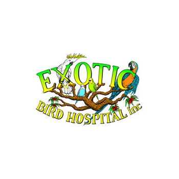 Exotic Bird Hospital