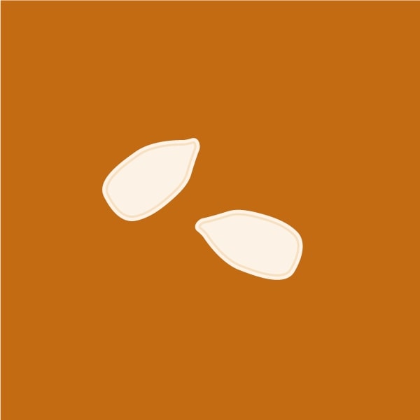 Pumpkin seeds