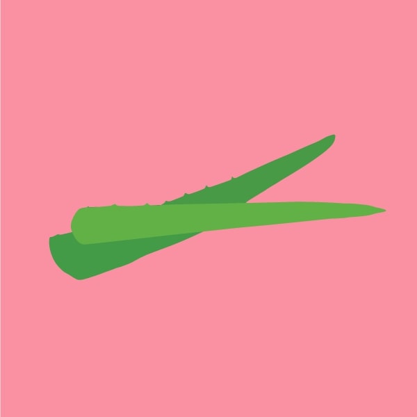 Aloe