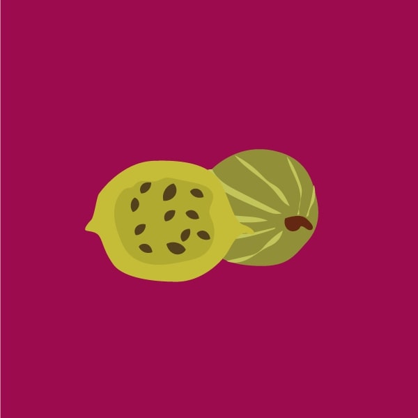 Indian gooseberry