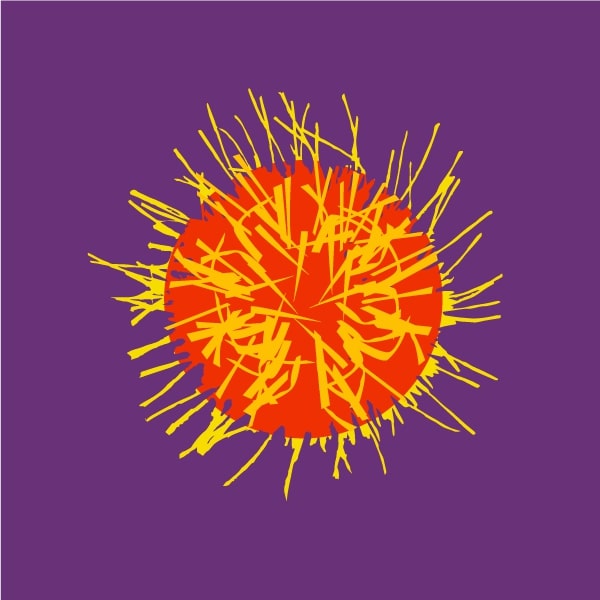 Safflower