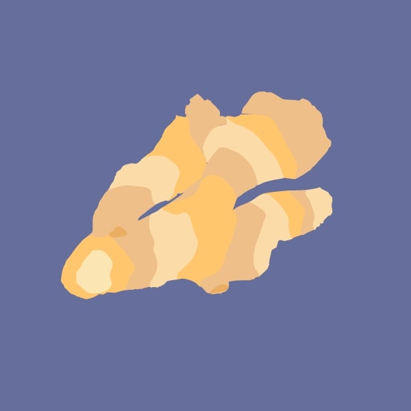Ginger