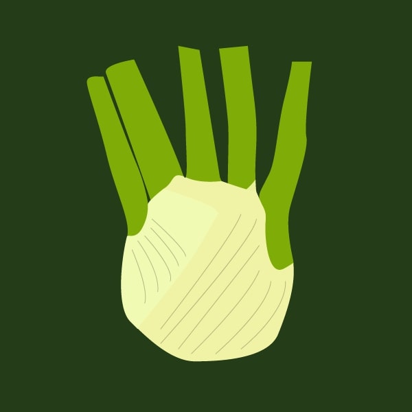 Fennel