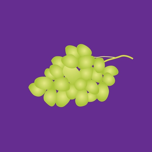 Grape seed extract