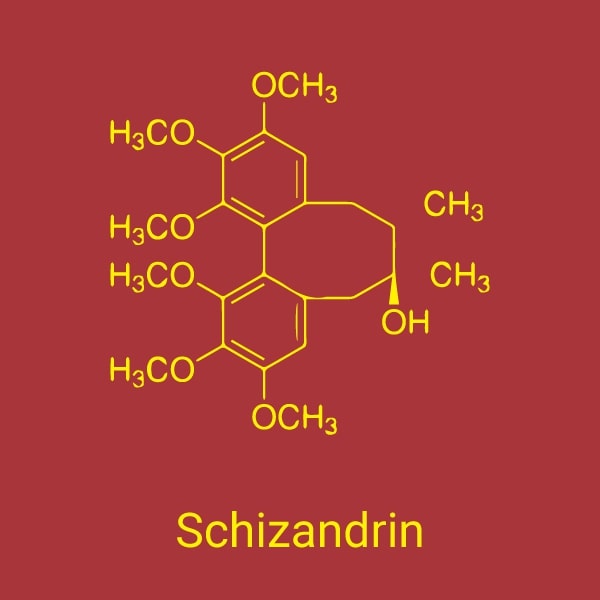 Schisandra