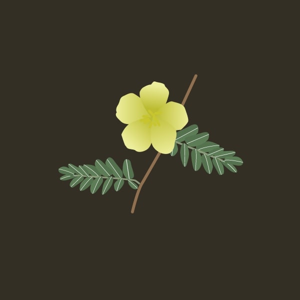 Puncture Vine